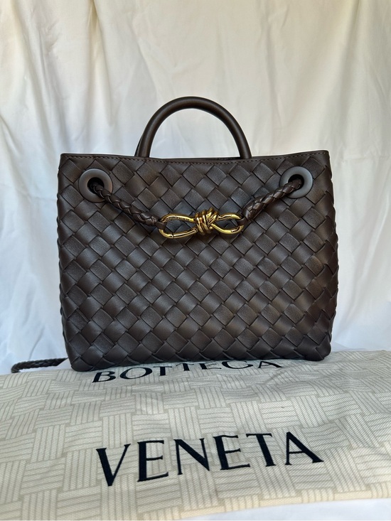 Handbags - Bottega Veneta Small Andiamo in Fondant